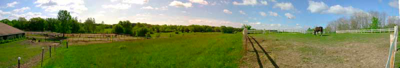 Horse Stables
